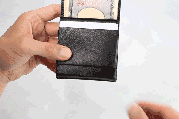 自然から学ぶデザインと素材の物性